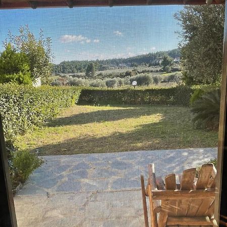Villa Pino Pueblo Paliouri Eksteriør billede